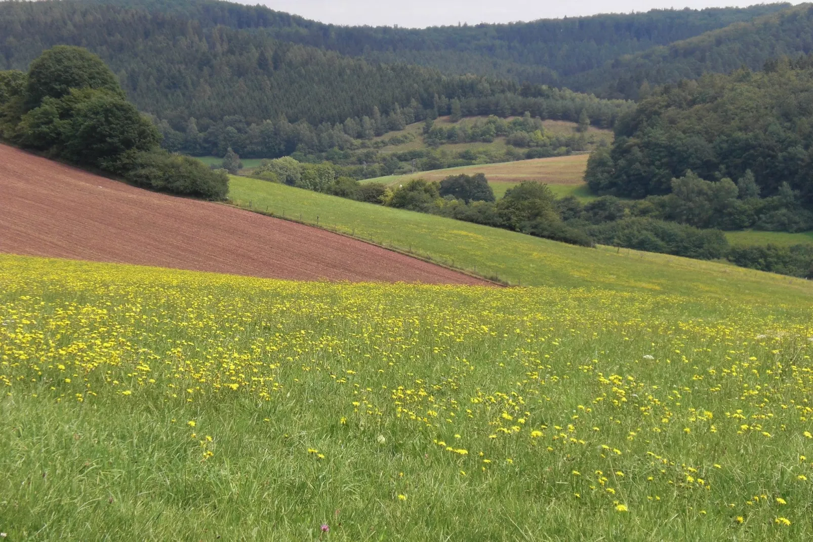 Im Knüllgebirge-Areas summer 1km