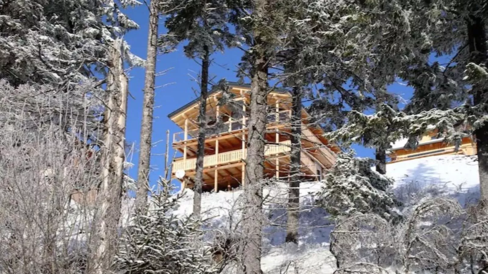 Alpina Lodge-Exterior winter