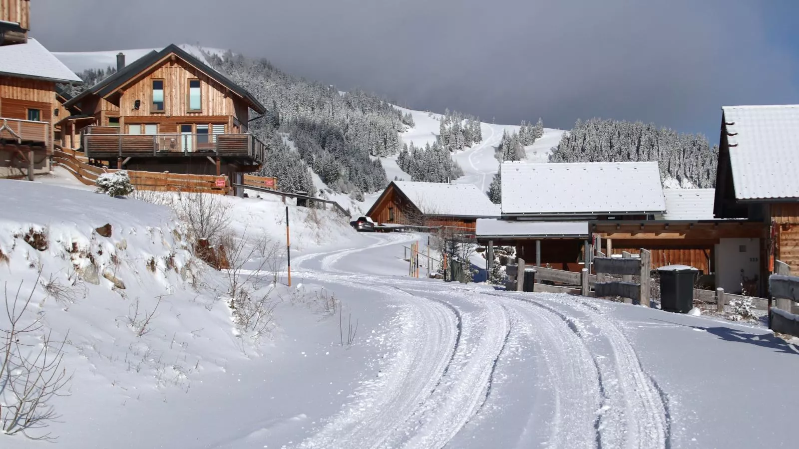 Alpina Lodge-Area winter 1km