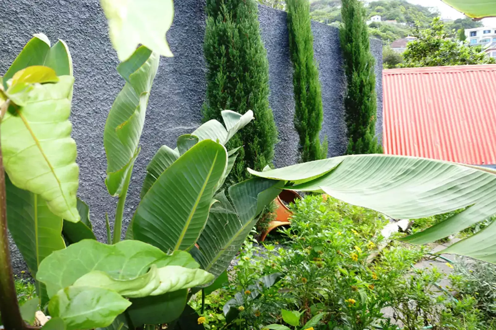 VILLA MATILDE E JOAQUIM-Gardens summer