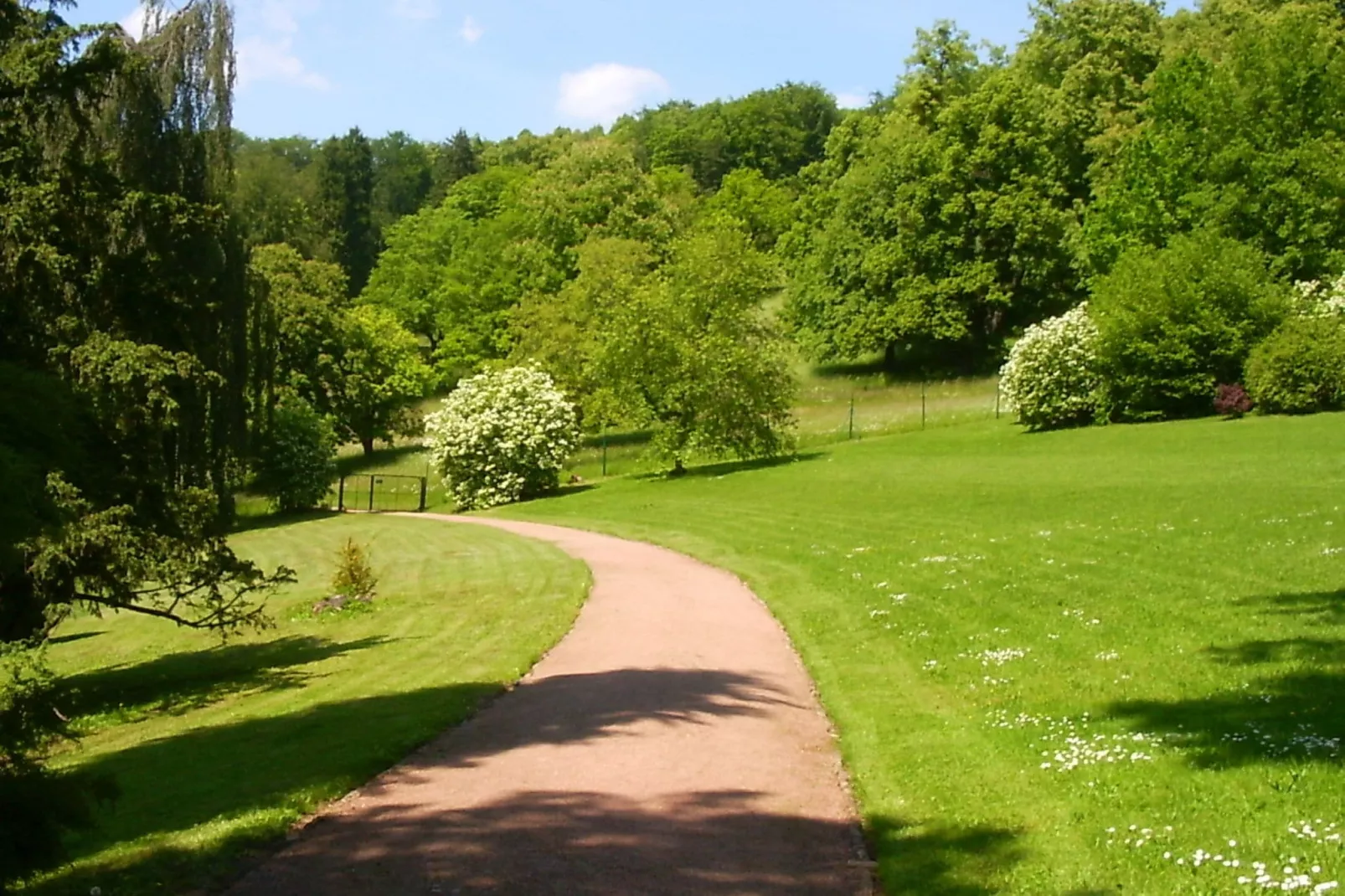 Wunder-Areas summer 1km