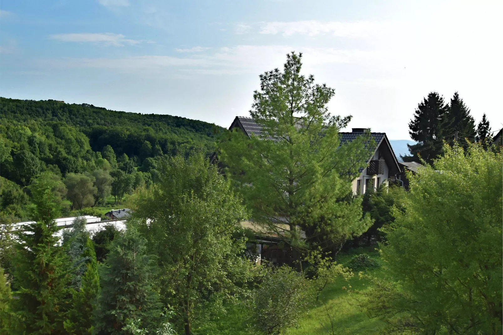 Wunder-View summer