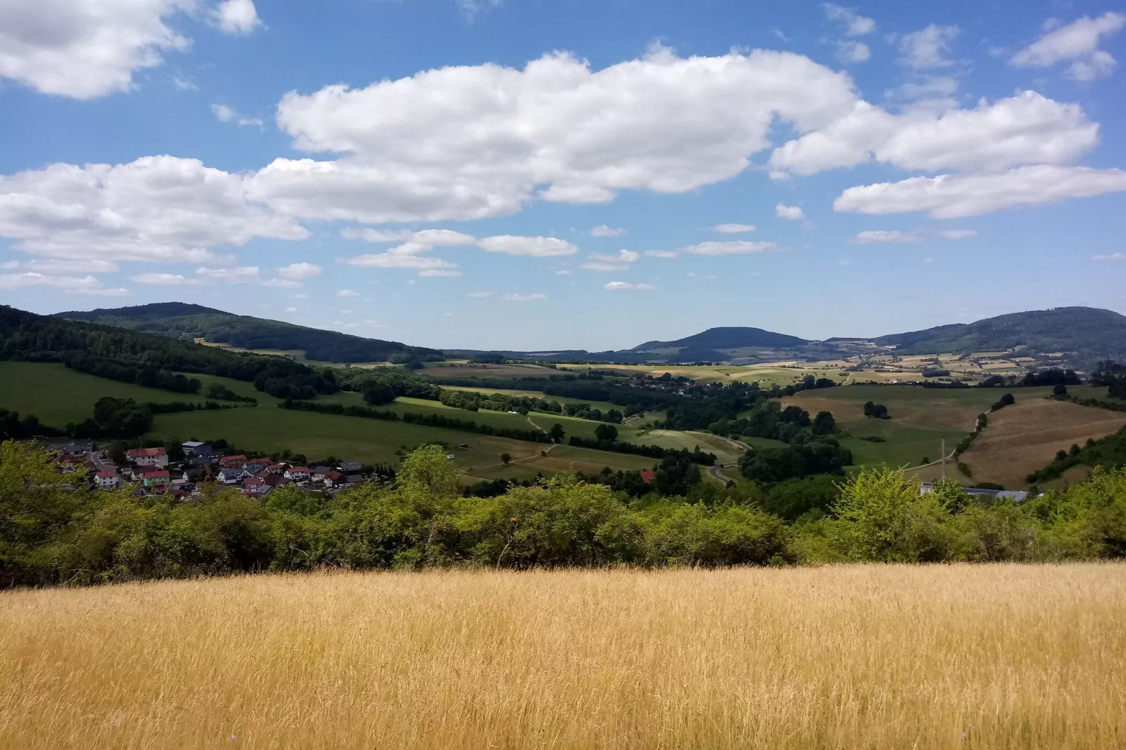 Hohe Rhön-Areas summer 1km