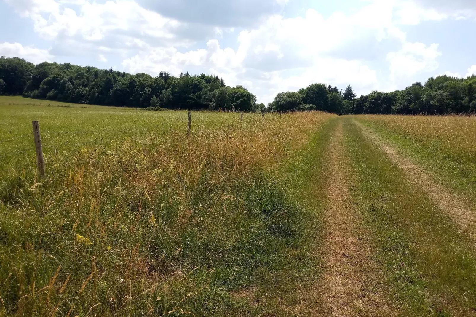 Hohe Rhön-Areas summer 5km