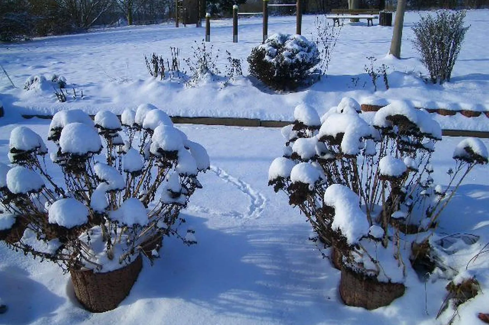 Feriendorf Uslar 2-Exterior winter