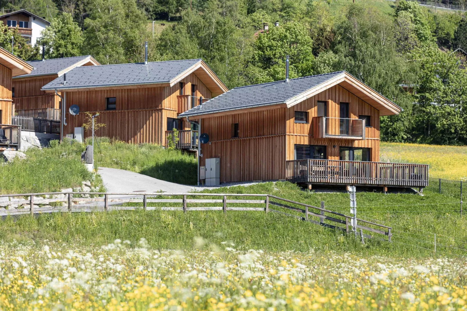 Bergeralm Chalets 1-Exterior summer