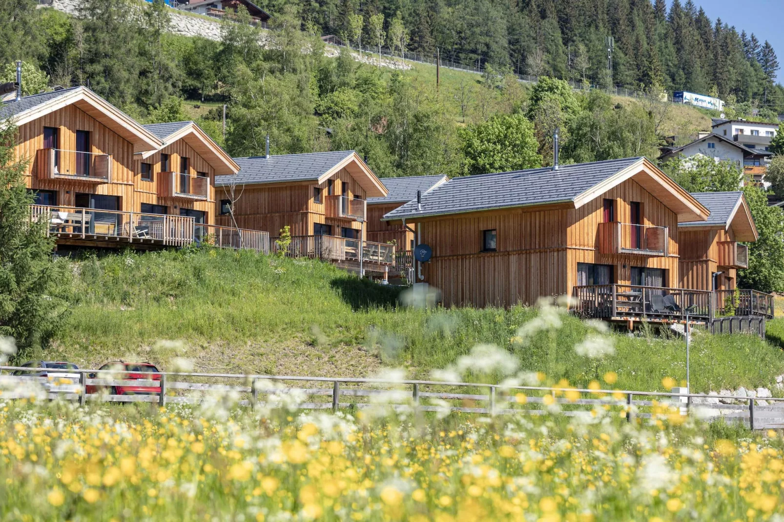Bergeralm Chalets 1-Exterior summer