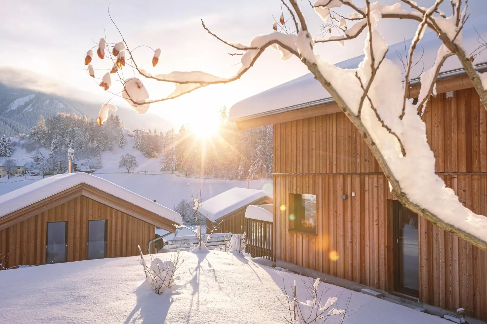 Bergeralm Chalets 2-Garden winter