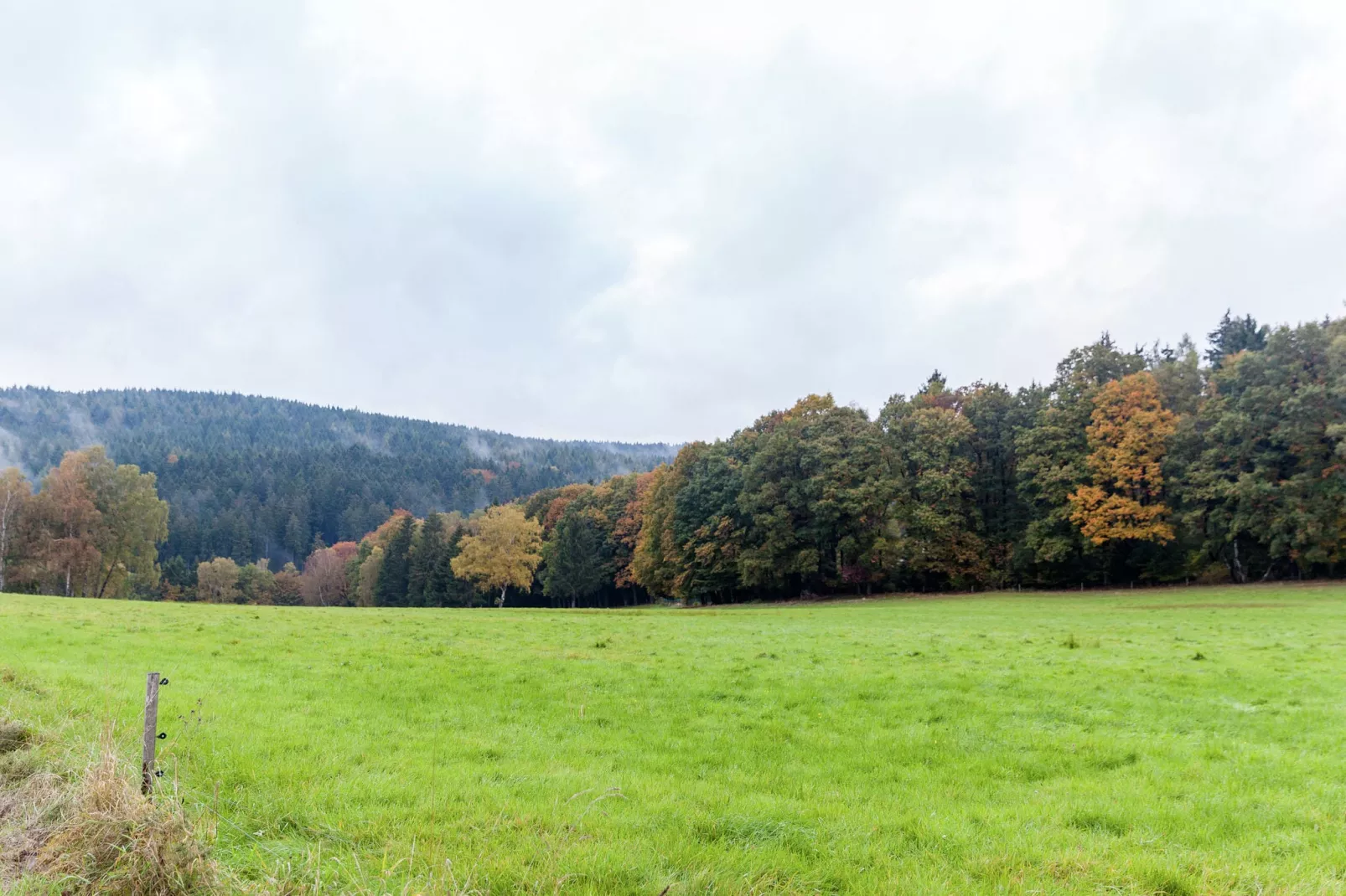 Goebel-View summer