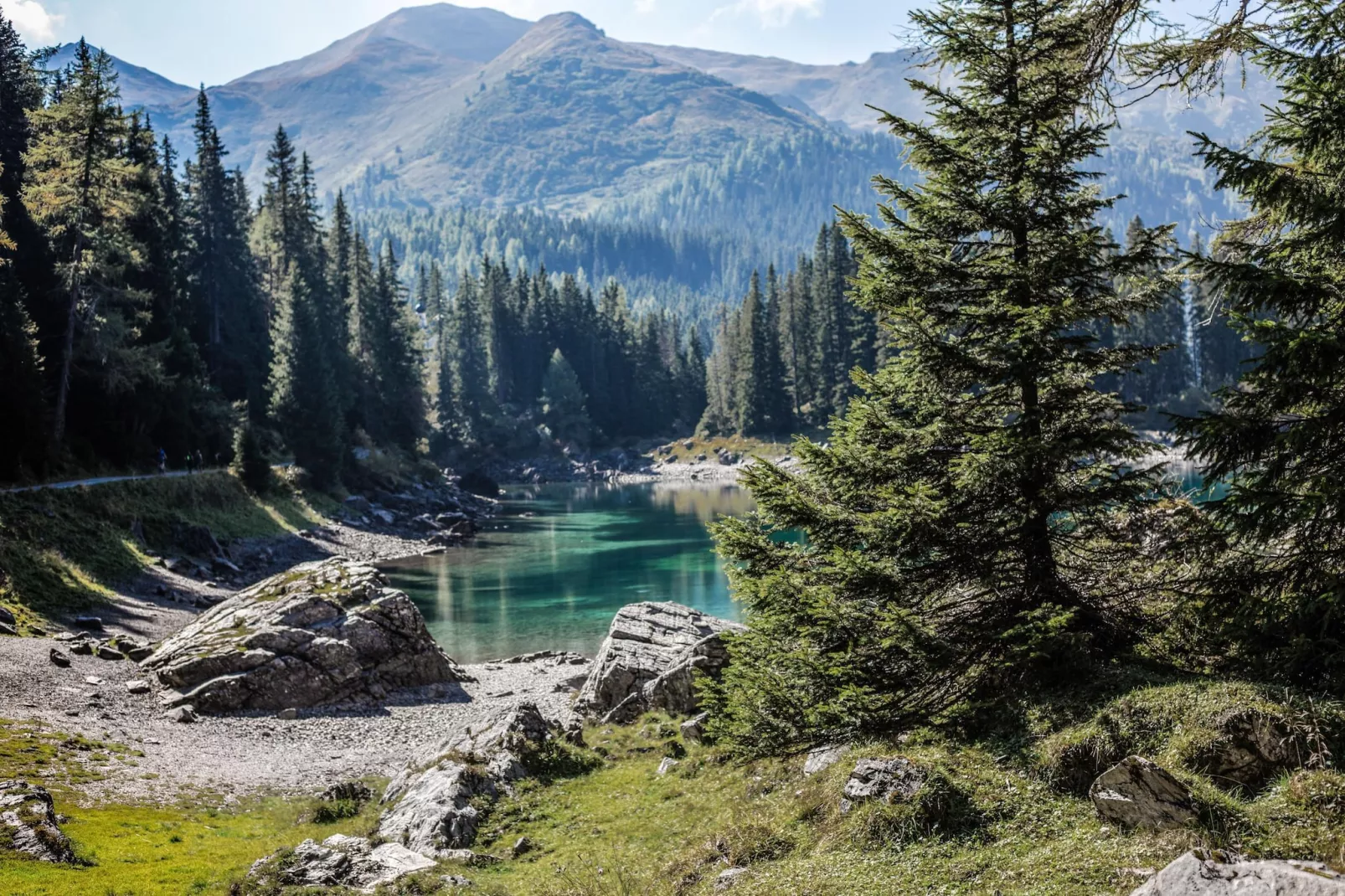 Bergeralm Chalets 2-Areas summer 5km