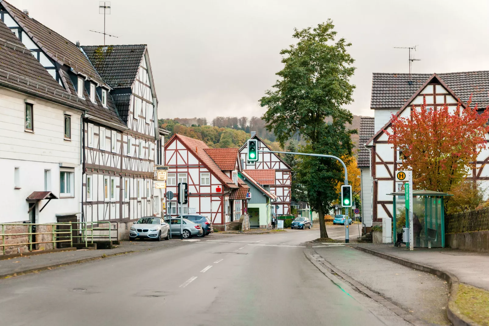 Goebel-Areas summer 20km