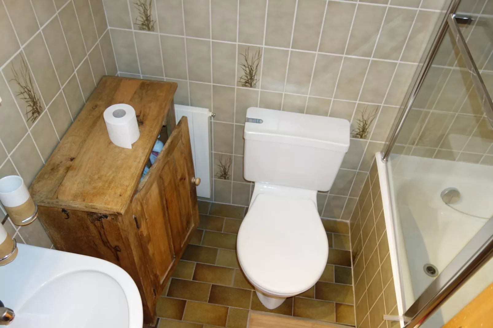 Mayens de l'Ours CZ 031 - MOUNTAIN apartment 6 per-Bathroom
