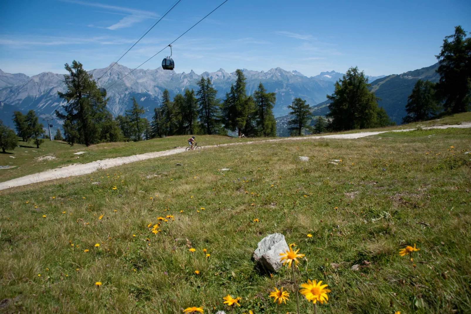 Magrappé M 647 - SKI LIFT apartment 5 pers-Areas summer 5km