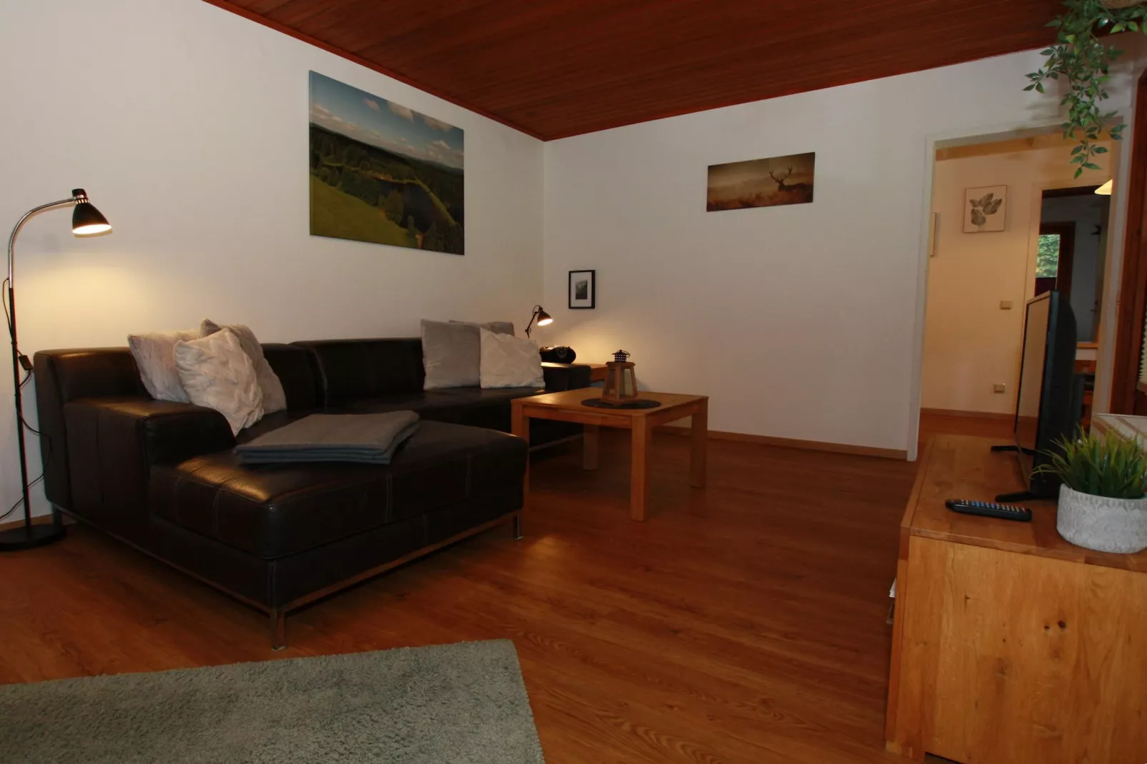 Typ B - Kaminhaus Haustierfrei-Wohnzimmer