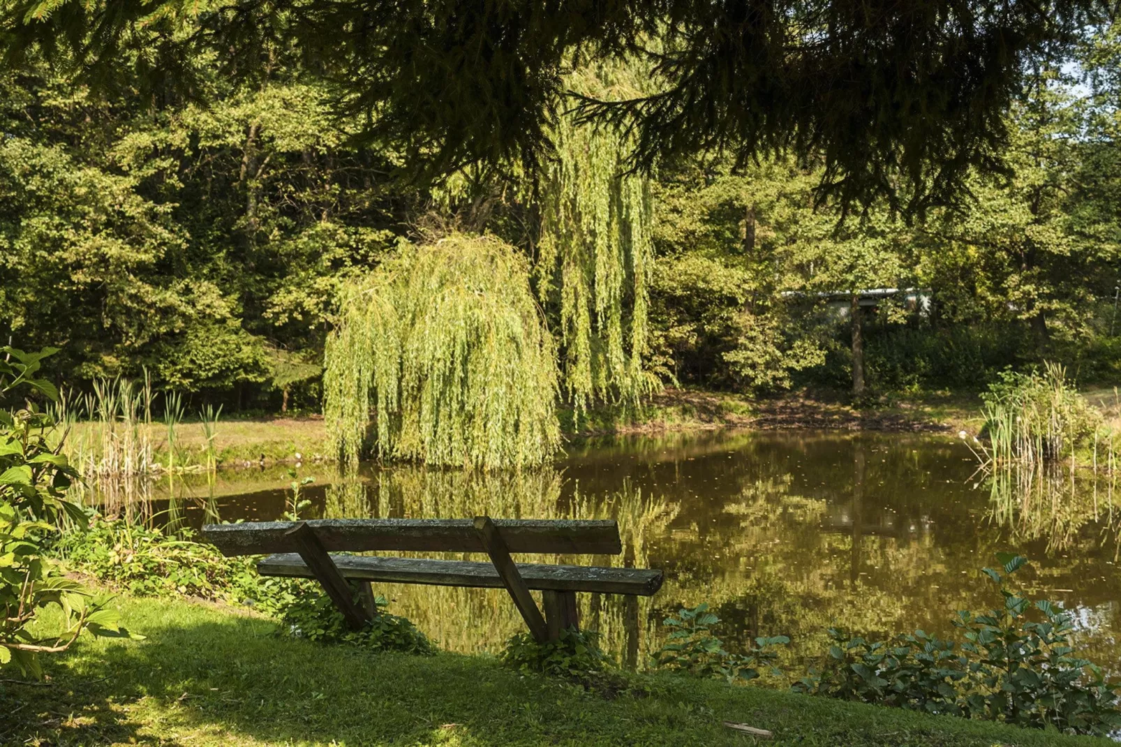 Holiday home in Szymbark-Gardens summer