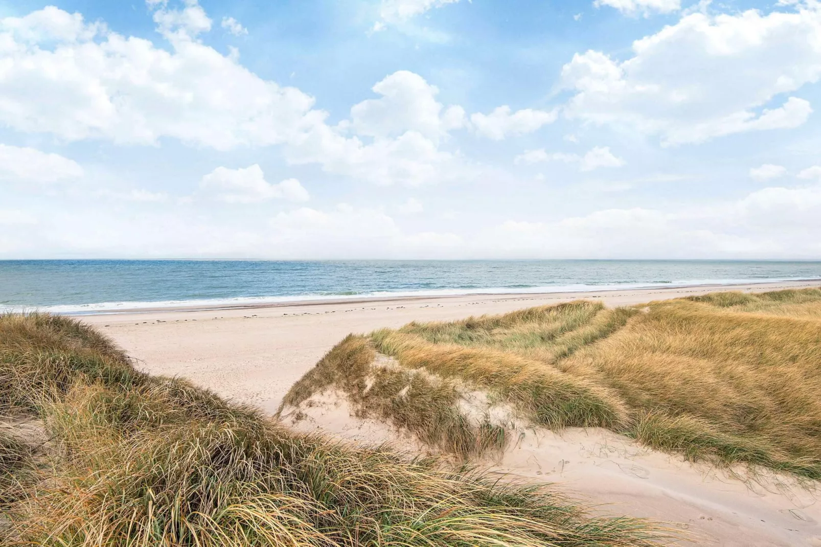 Strandurlaub mit Schaukel-Nicht zugeordnet