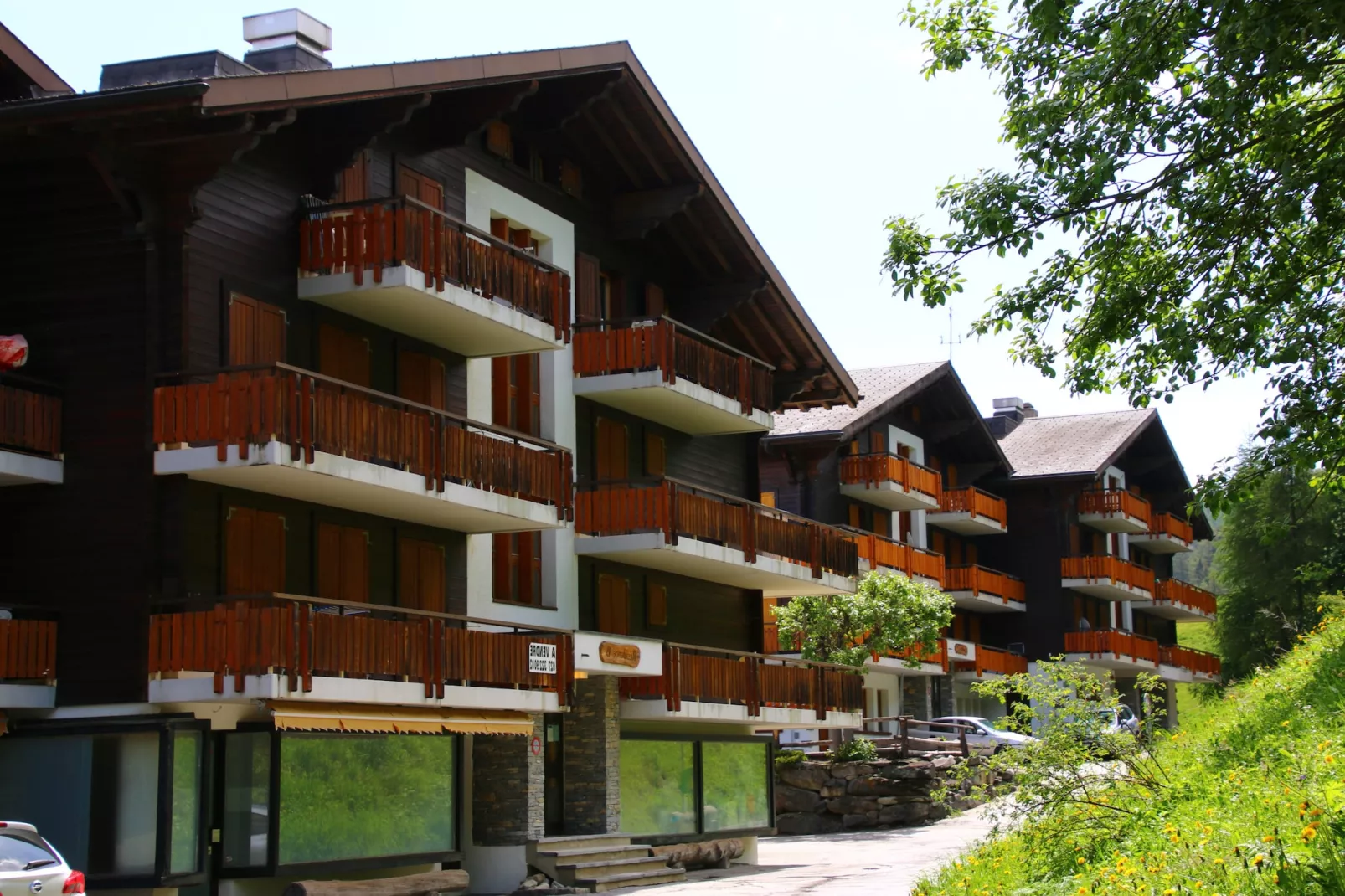 Mayens de l'Ours DZ 131 - MOUNTAIN apartment 6 per-Exterior summer