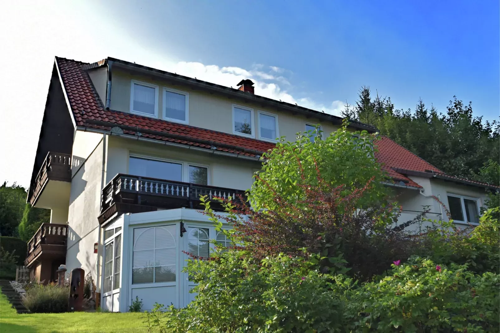 Harz-Exterior summer