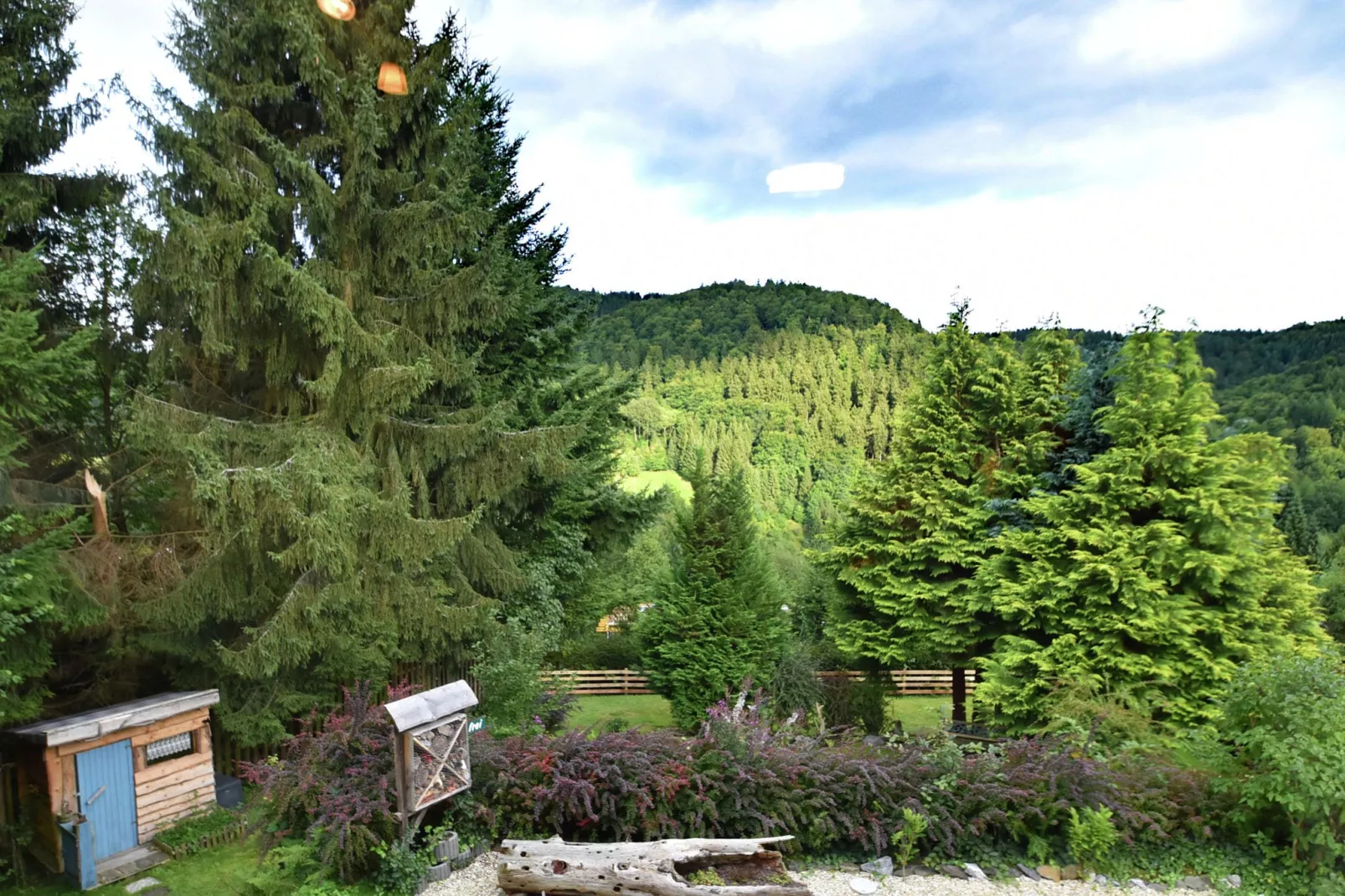Harz-View summer