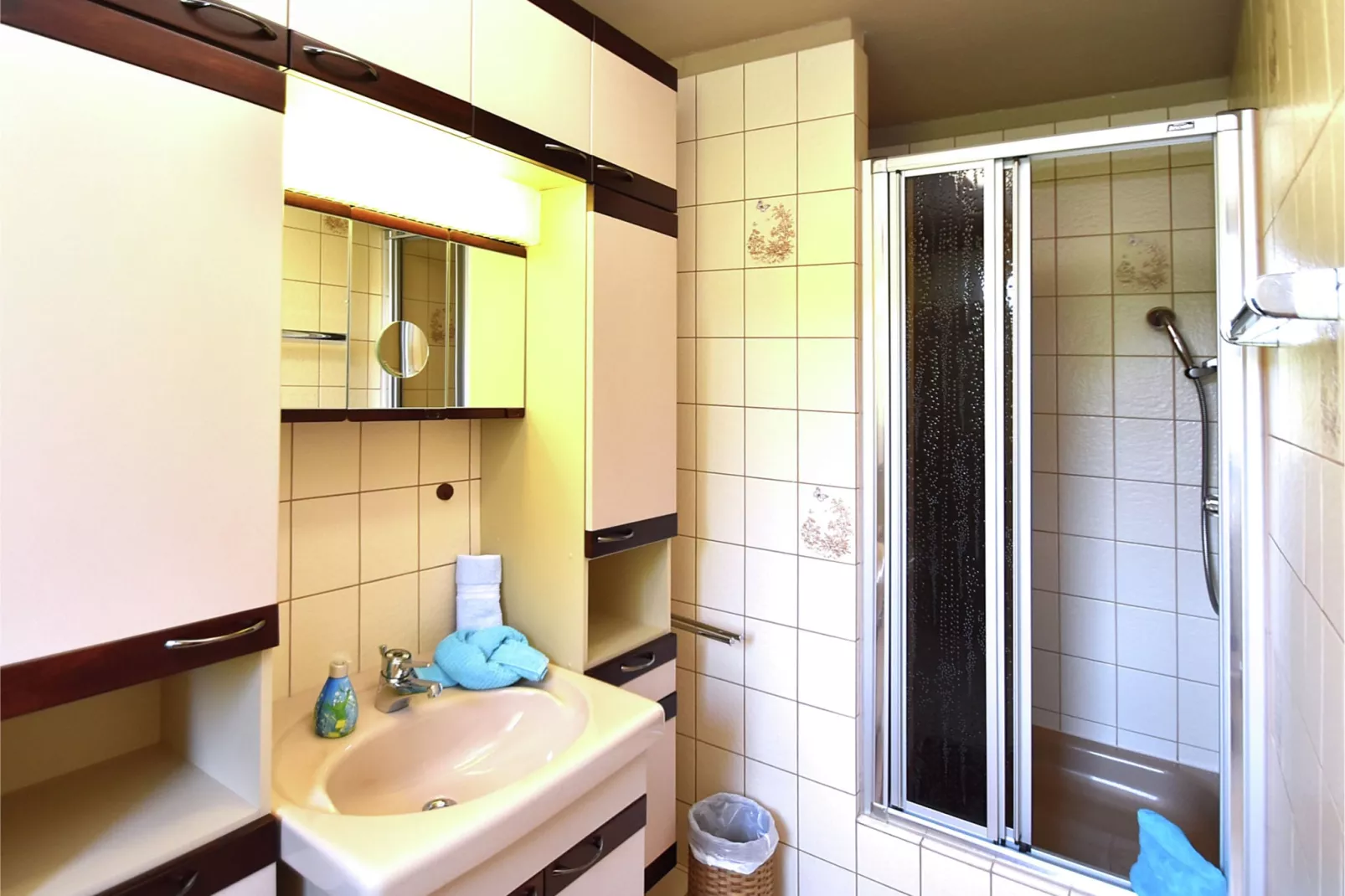 Harz-Bathroom