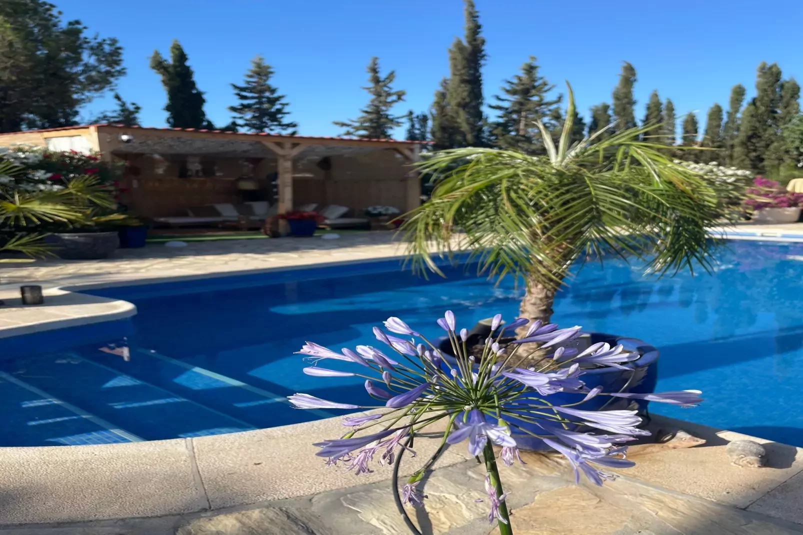 La Esquina Casa-Pool