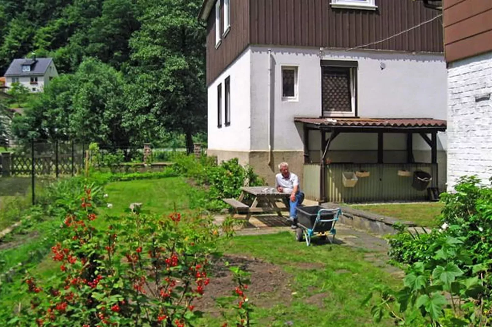 Im Zorger Tal-Gardens summer