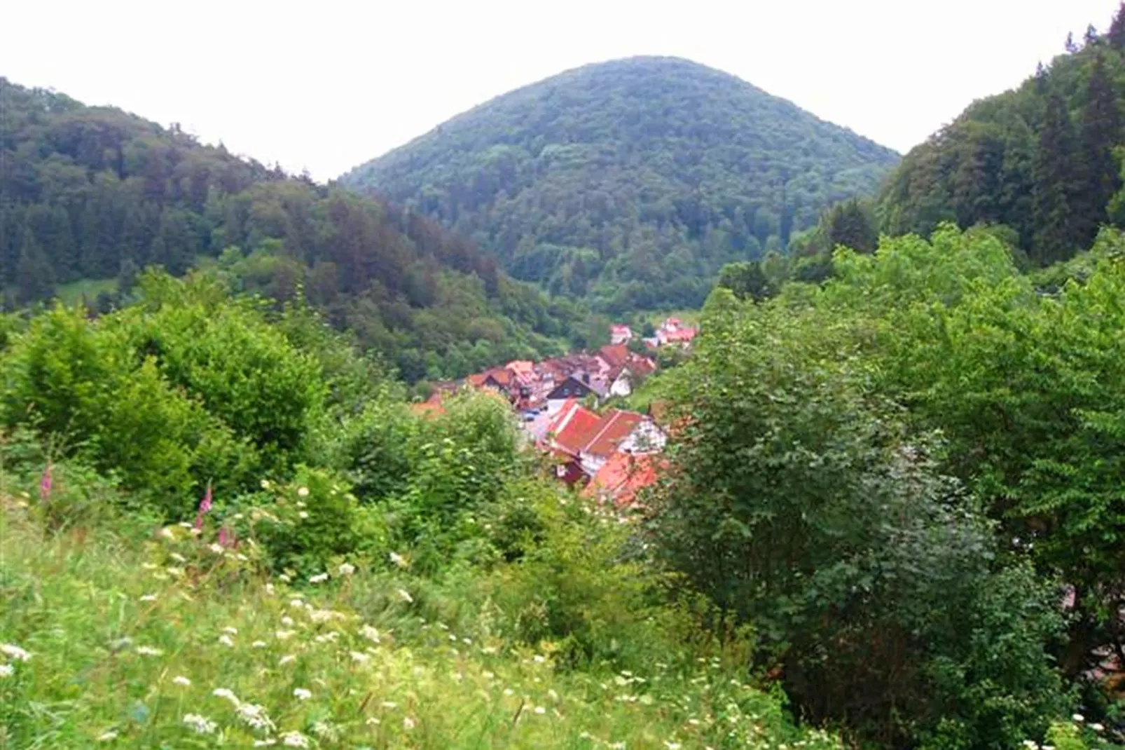 Im Zorger Tal-Areas summer 5km
