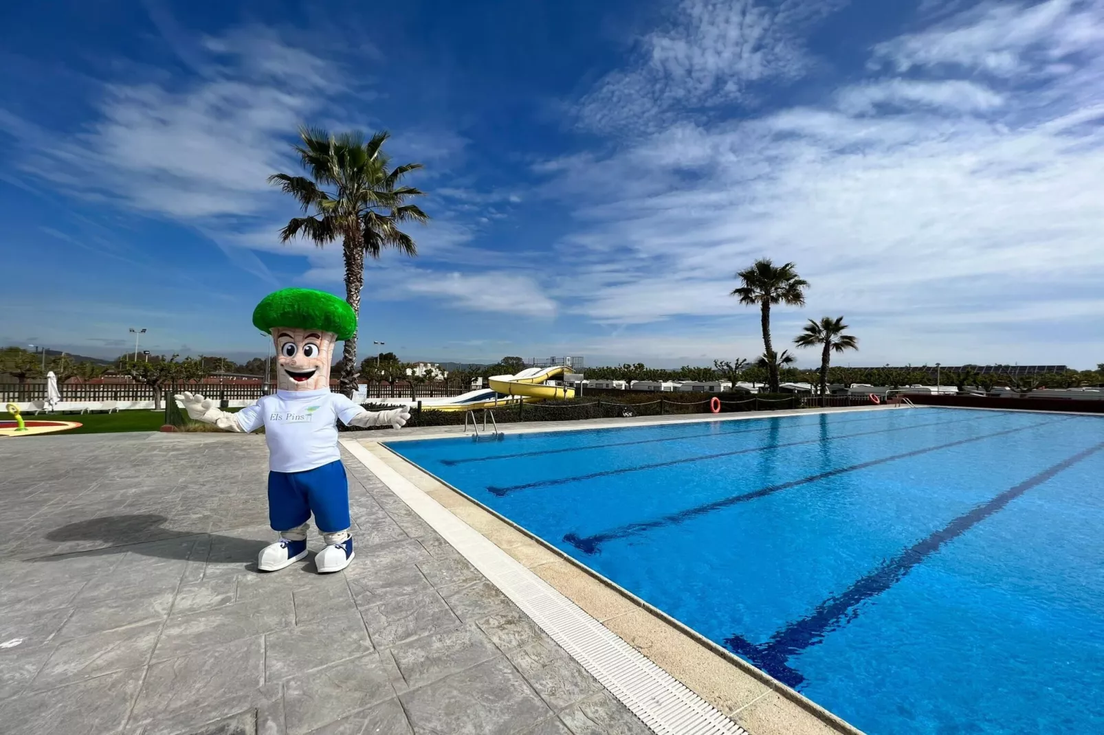 Els Pins- Mobile-Home Plus 3-Pool