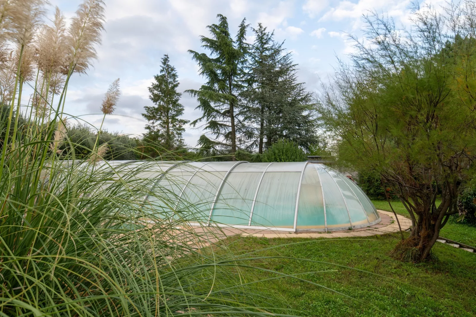 Sara-Pool