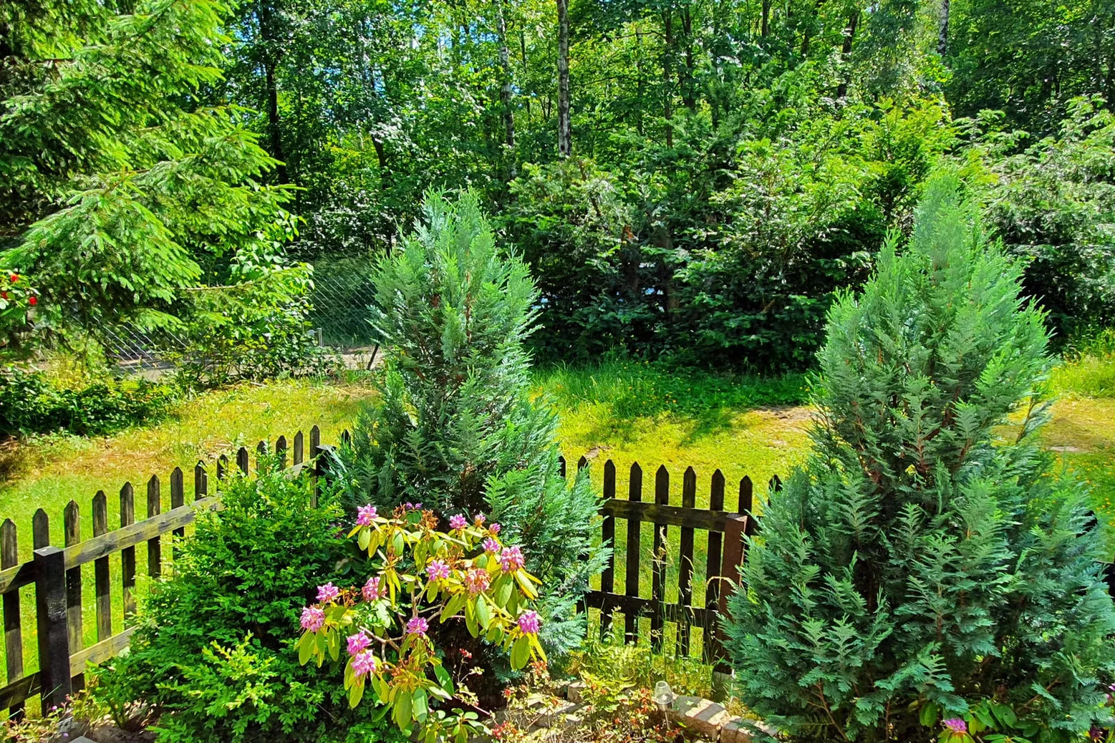 Fewo Goslar Harz-View summer