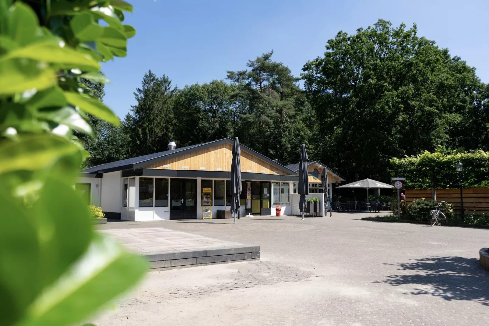 Resort De Utrechtse Heuvelrug 4-Exterior summer
