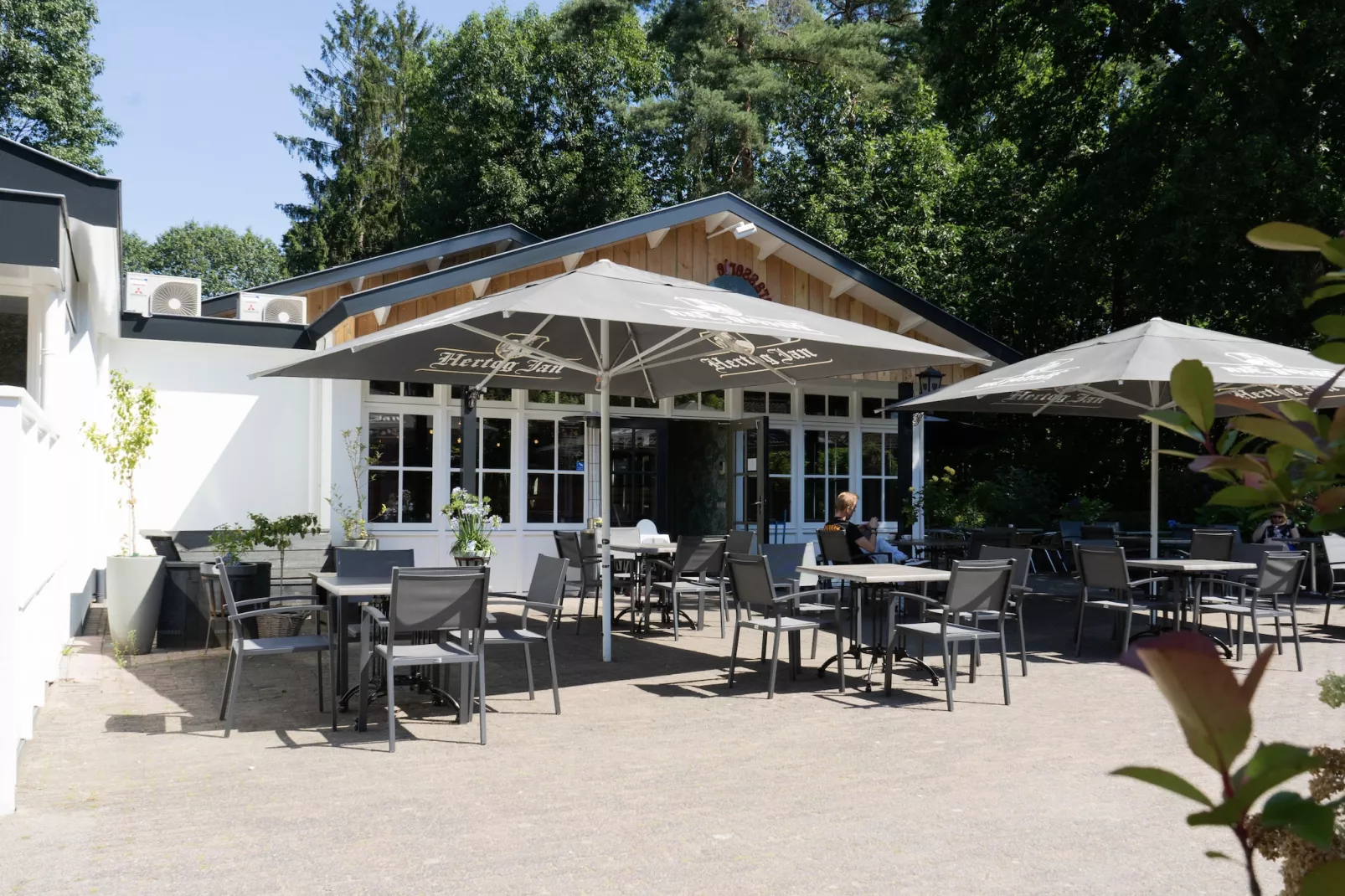 Resort De Utrechtse Heuvelrug 4-Areas summer 1km