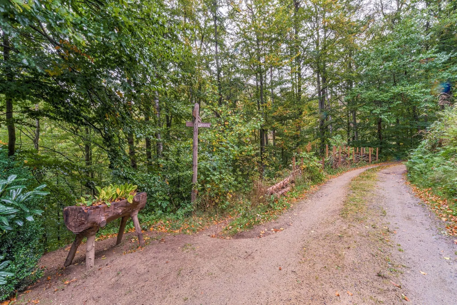Historisches Waldhaus-Gebiete Sommer 1 km