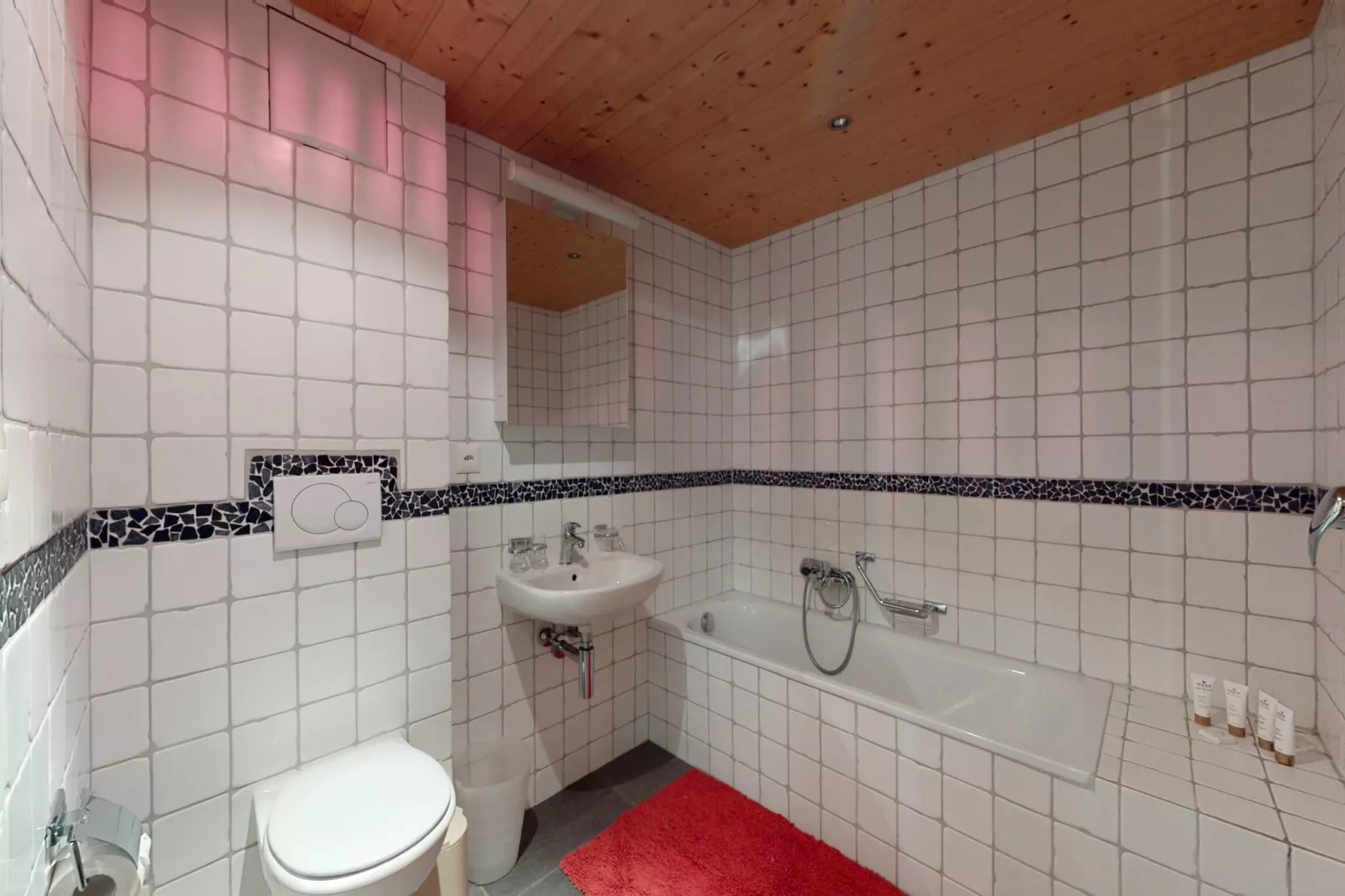 Des Alpes 004 - ON THE SLOPES apartment 16 pers-Bathroom