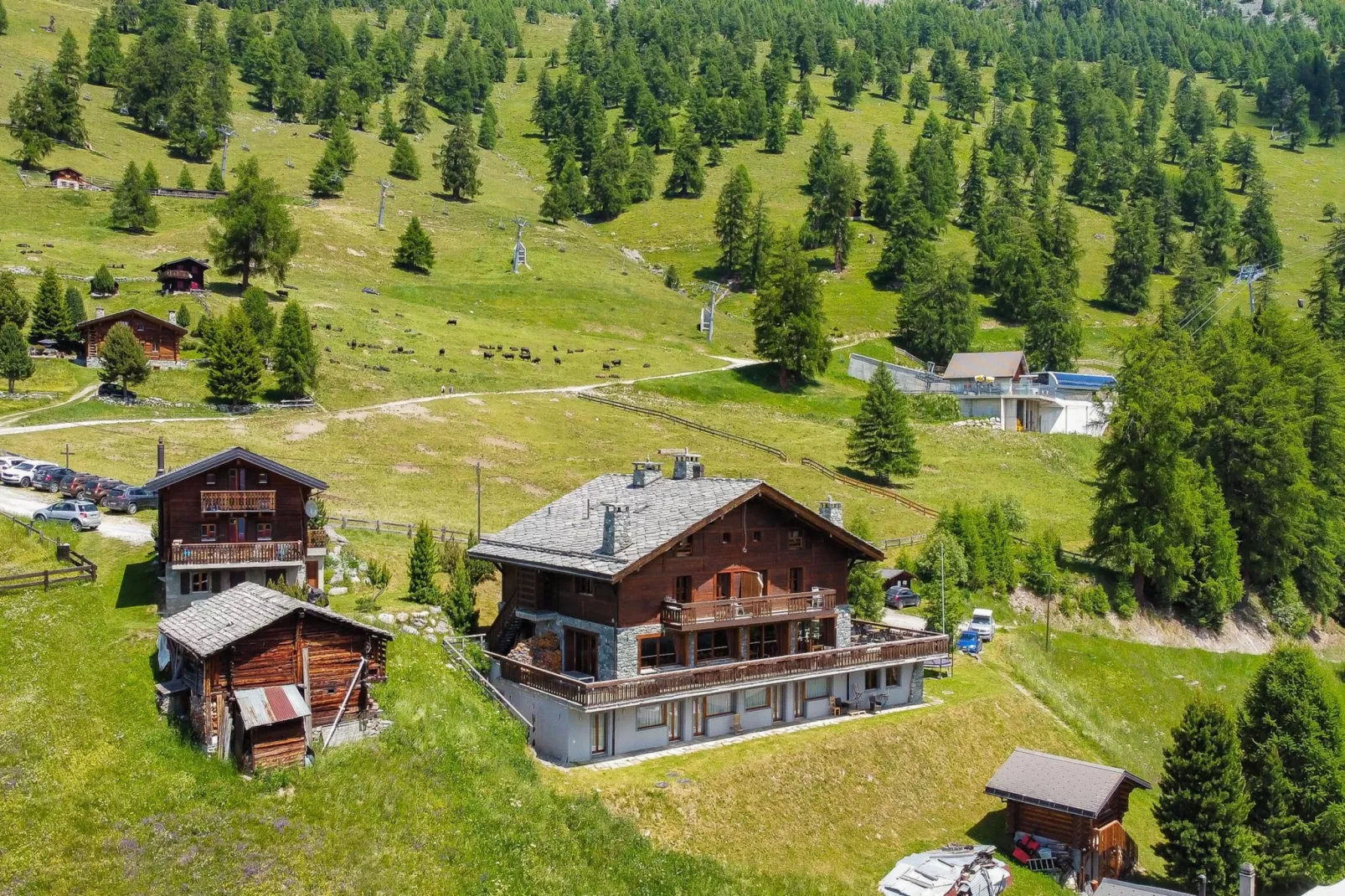 Des Alpes 004 - ON THE SLOPES apartment 16 pers-Exterior summer
