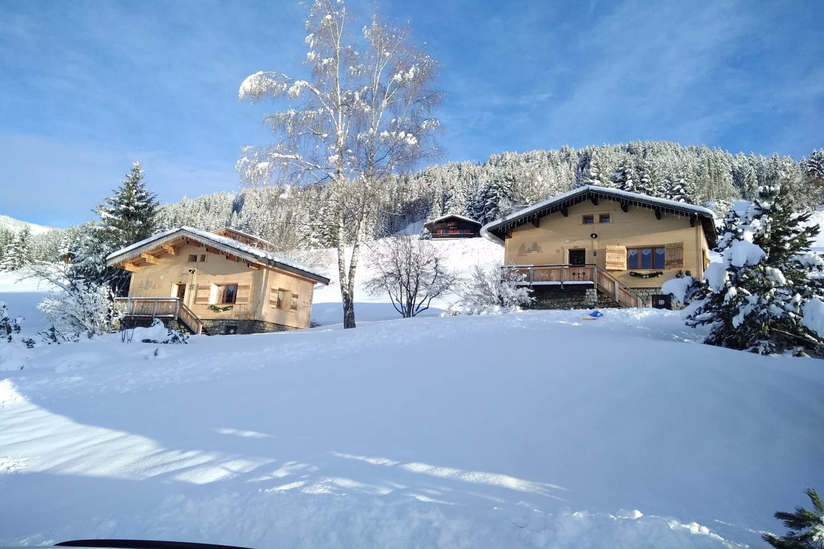 Notre Dame de Bellecombe-Exterior winter