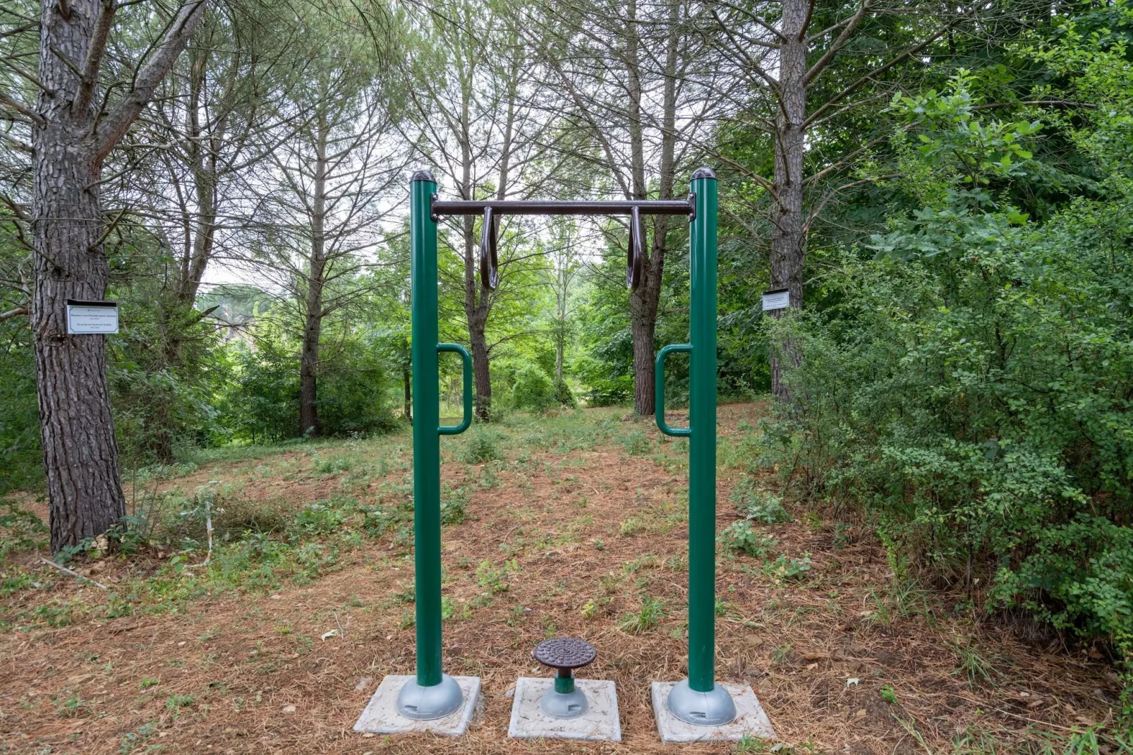 GH Borgo Pulciano in Montone - BEV2C / A2 / 2 Raum App Garten - 3 pax-Gärten Sommer