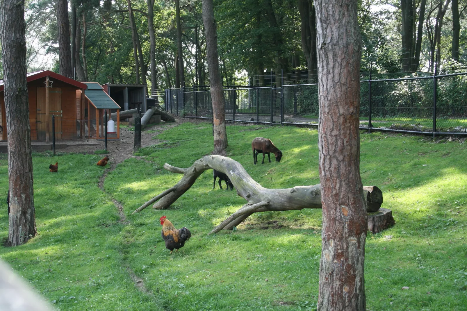 Resort Brunssummerheide 22-Gärten Sommer