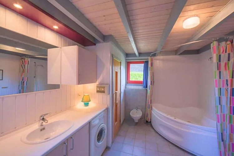 FH Wildgans Comfort mit Sauna & Kaminofen 81 qm 81-Bathroom