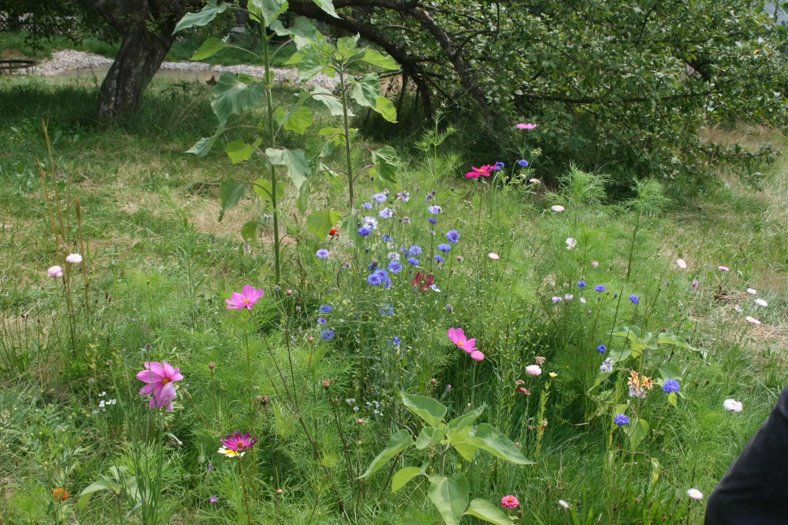 Gruppenhaus Bayern 10 Personen-Jardin d'été