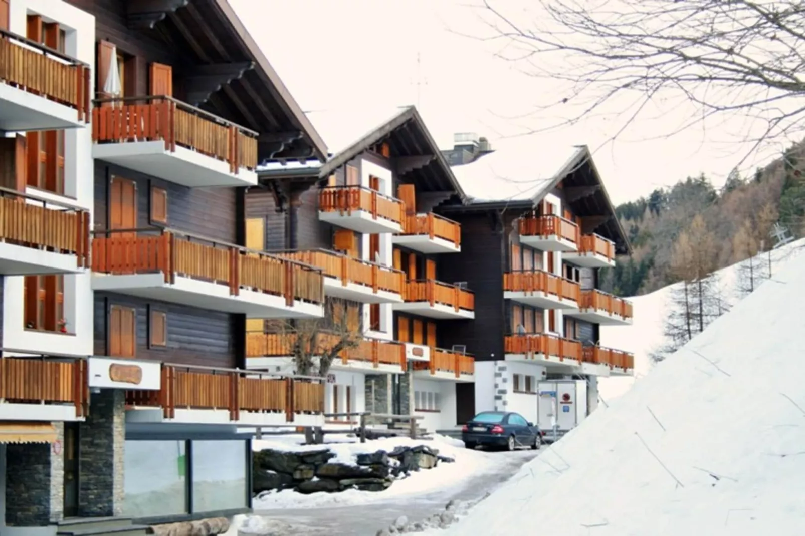 Mayens de l'Ours DZ 130 - MOUNTAIN apartment 8 per-Area winter 5km