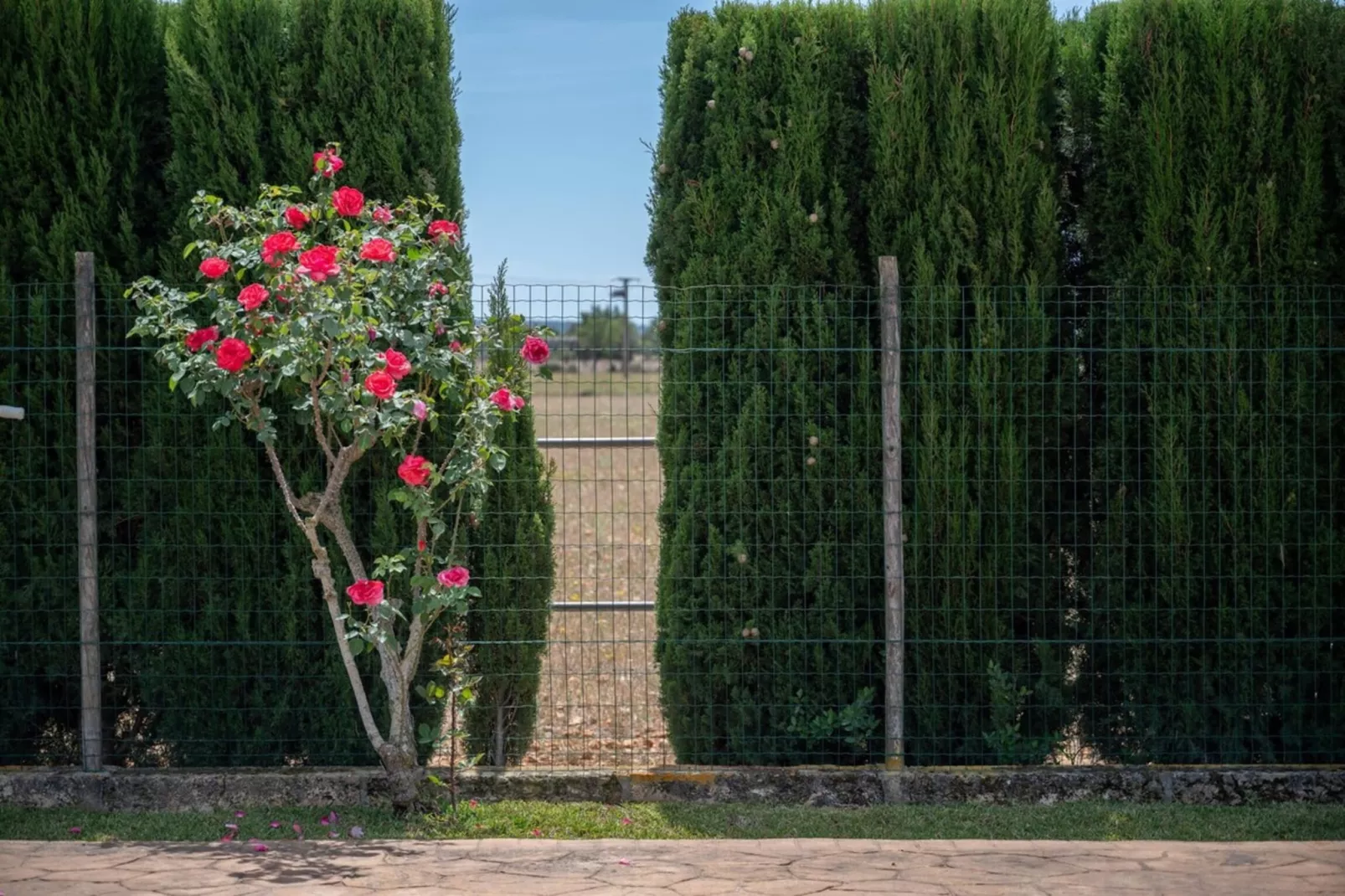 Can Grau Petit-Gardens summer