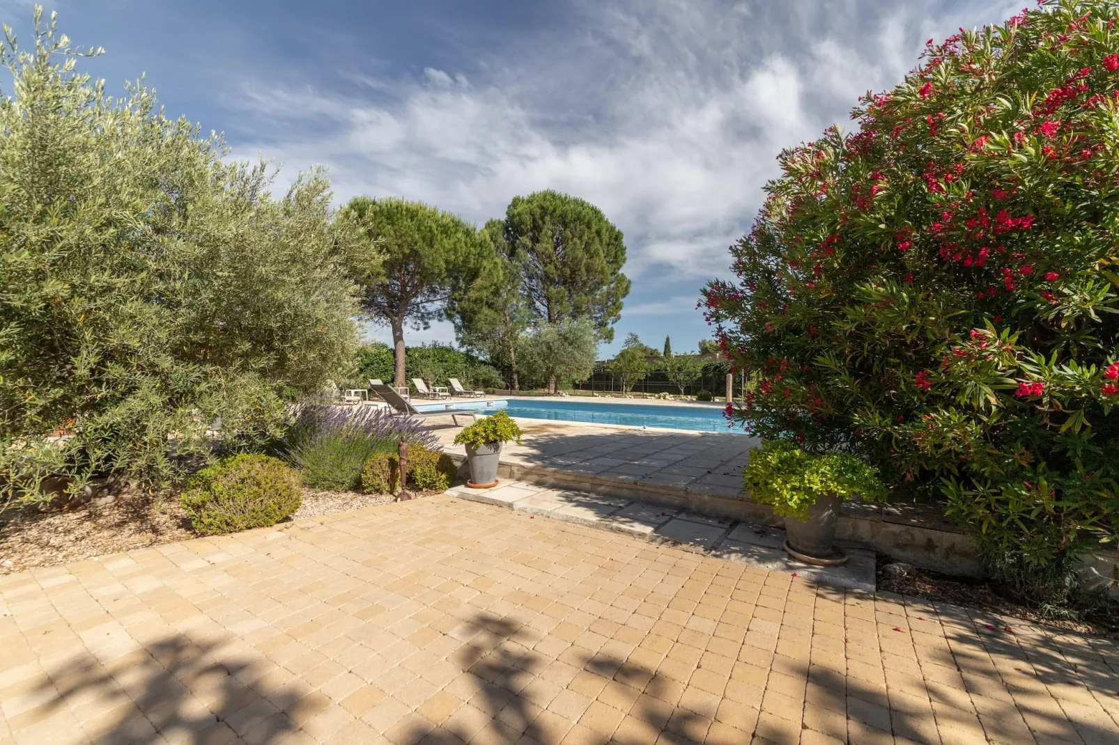 Villa Carpentras-Gardens summer