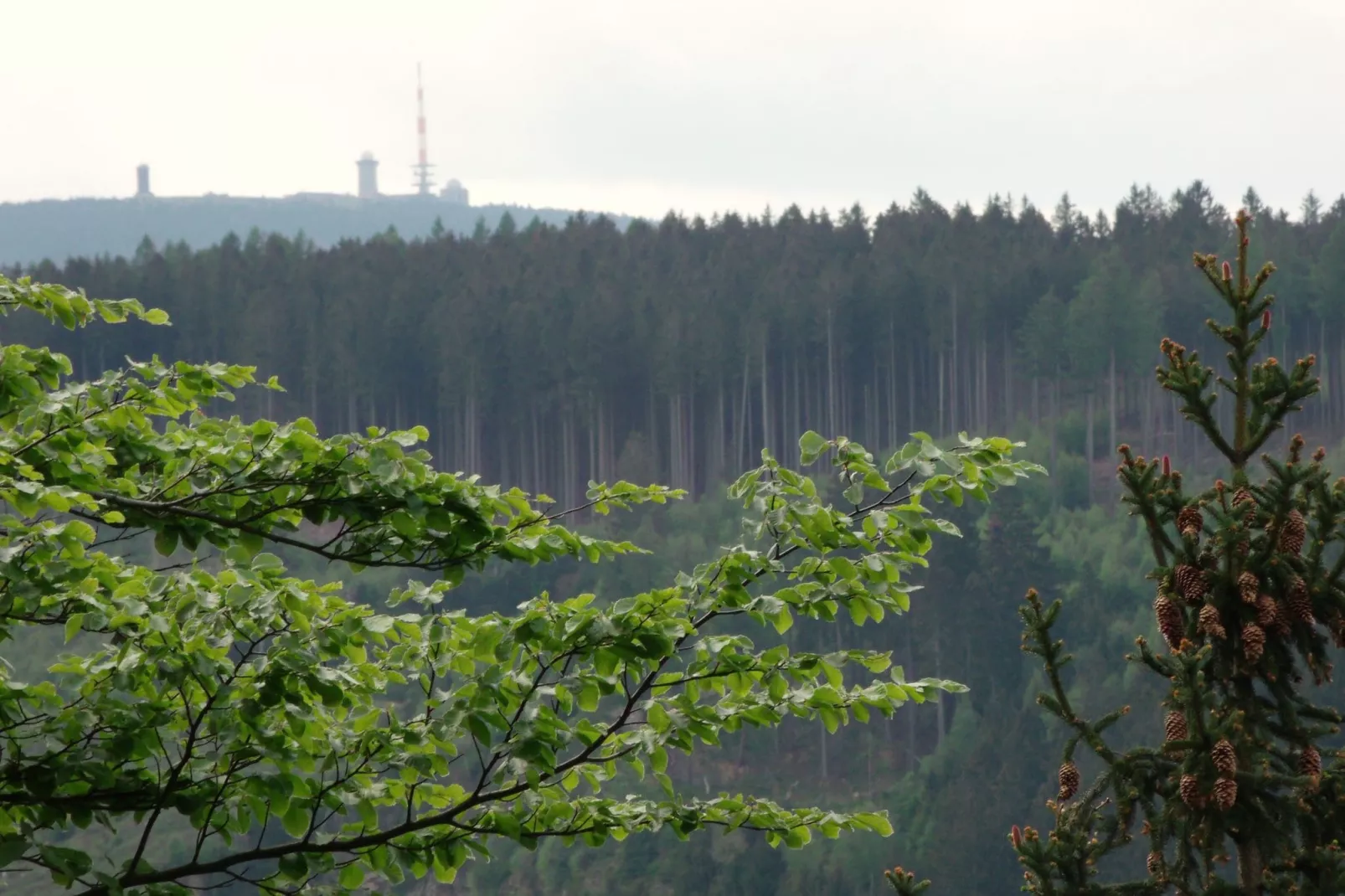 Sternenblick-Areas summer 5km