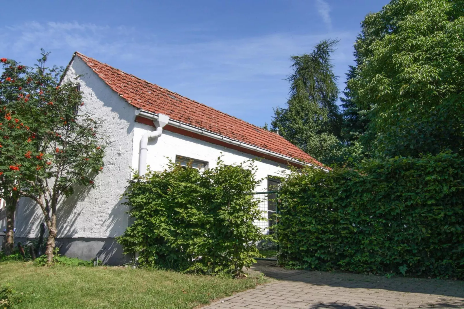 Ferienhaus Gänseblümchen-Extérieur été