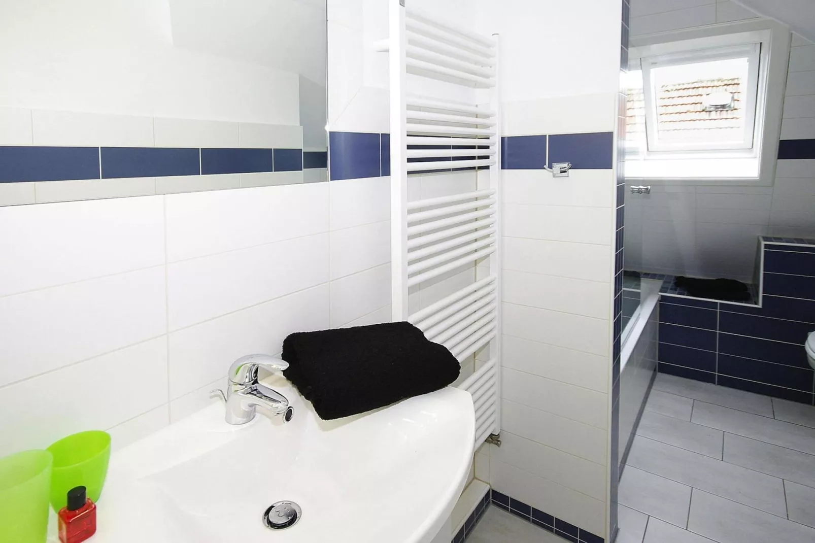 Apartment Wyk auf Föhr2-Raum-AppNr 6 Swan max 4 Pers-Bathroom