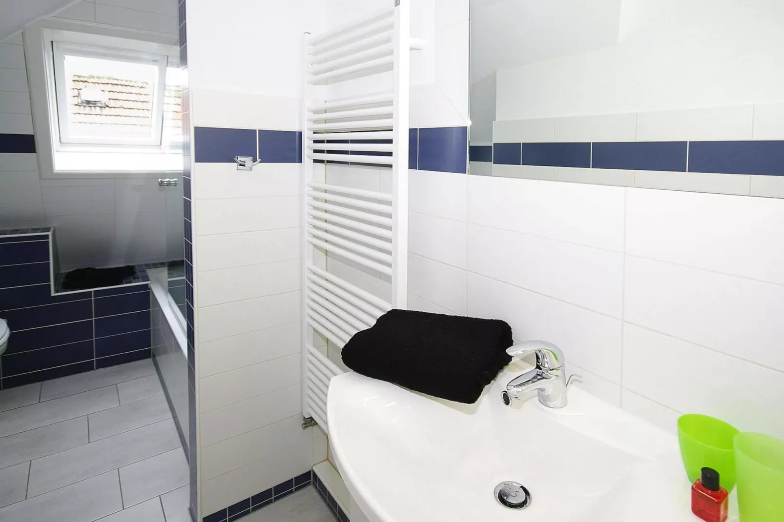 Apartment Wyk auf Föhr2-Raum-AppNr 6 Swan max 4 Pers-Bathroom