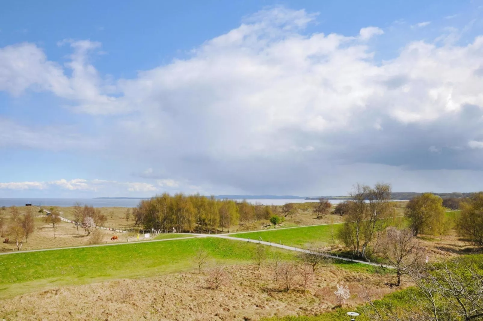 2-Zimmer-Appartement Seeseite "Am Park"-Areas summer 5km