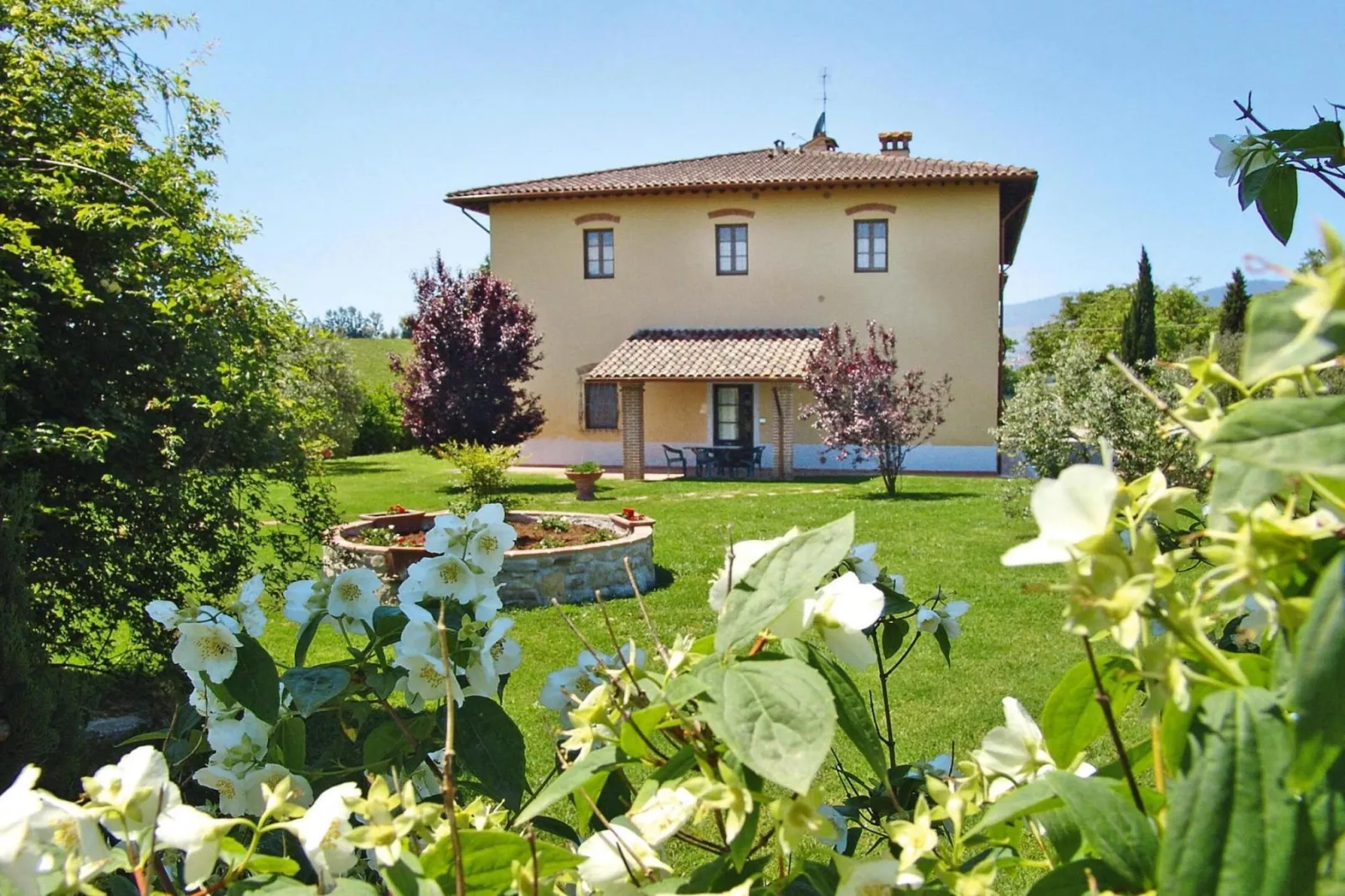 Agri-tourism Poggio al Sole Vinci Type Glicine Biancospino