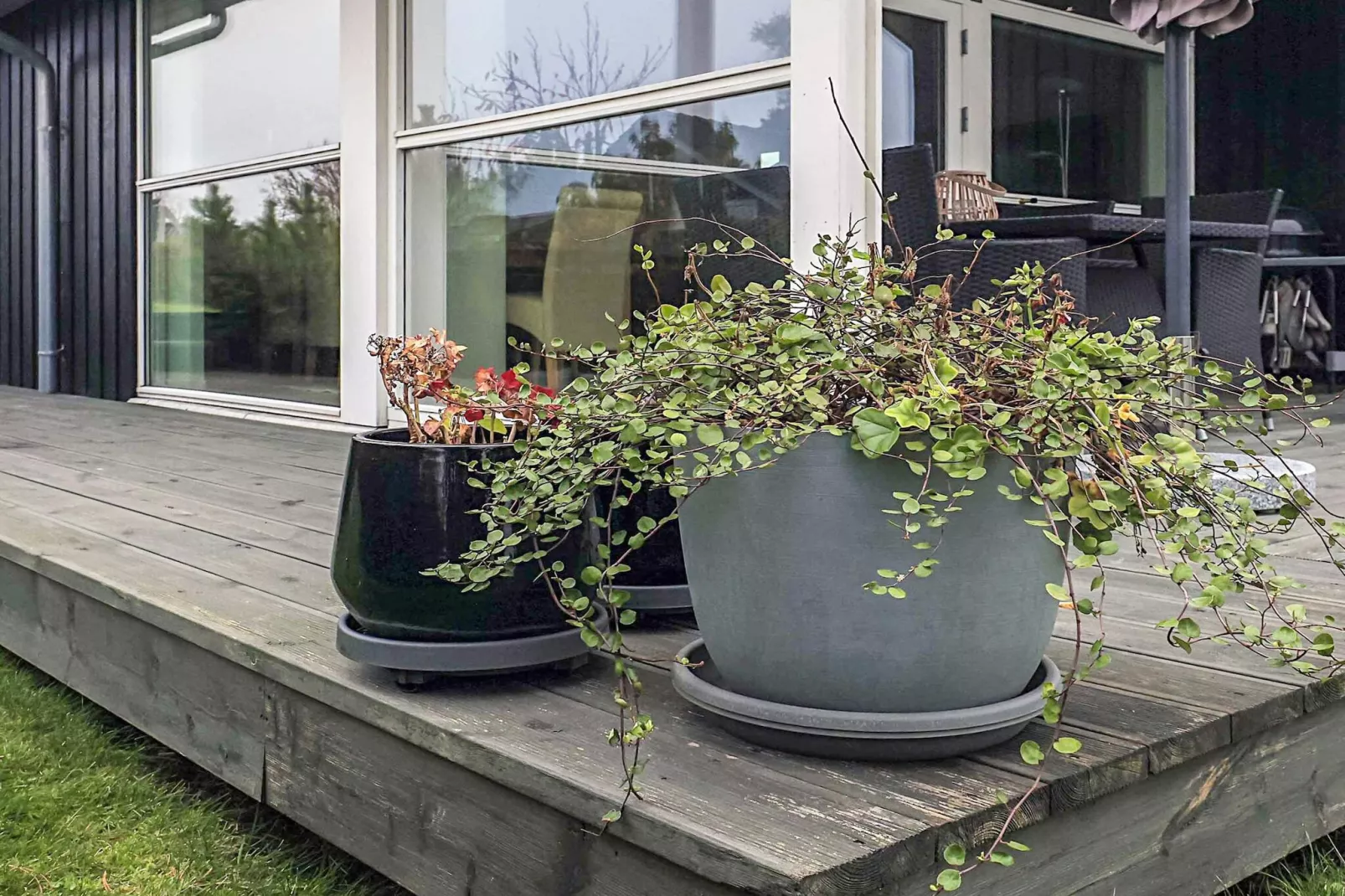 8 Personen Ferienhaus in Bogense-By Traum-Aussicht